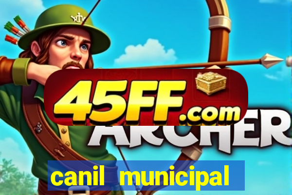 canil municipal porto alegre